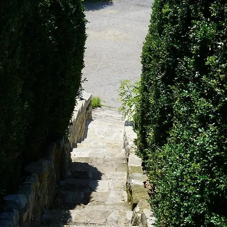 펜션 Des Grands Causses